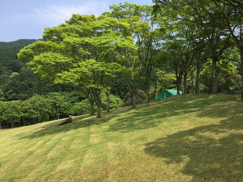 今宿キャンプ場